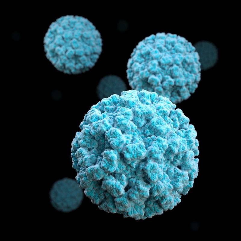 Cómo evaluar el riesgo de transmisión del virus de la gastroenteritis en comedores 