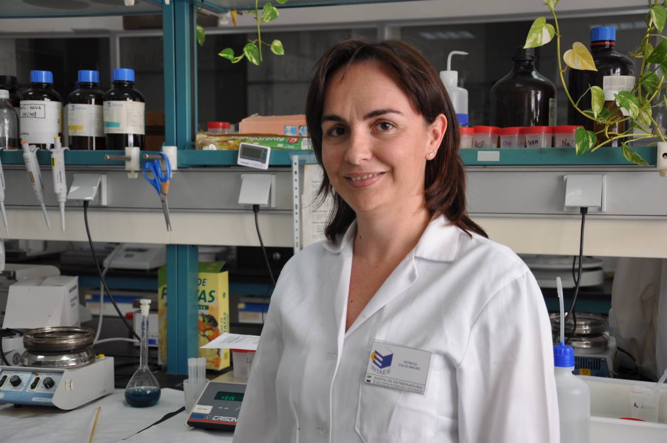 ¿Cómo incorporar aceites saludables a las mezclas industriales de alimentos?  