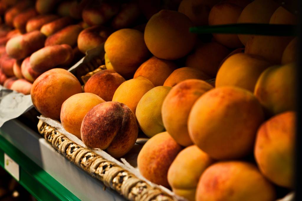 ¿Cómo obtener frutas de hueso más saludables y de mejor calidad?