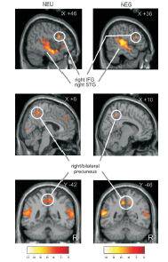 ¿Cómo procesa el cerebro la información en situaciones de peligro? 