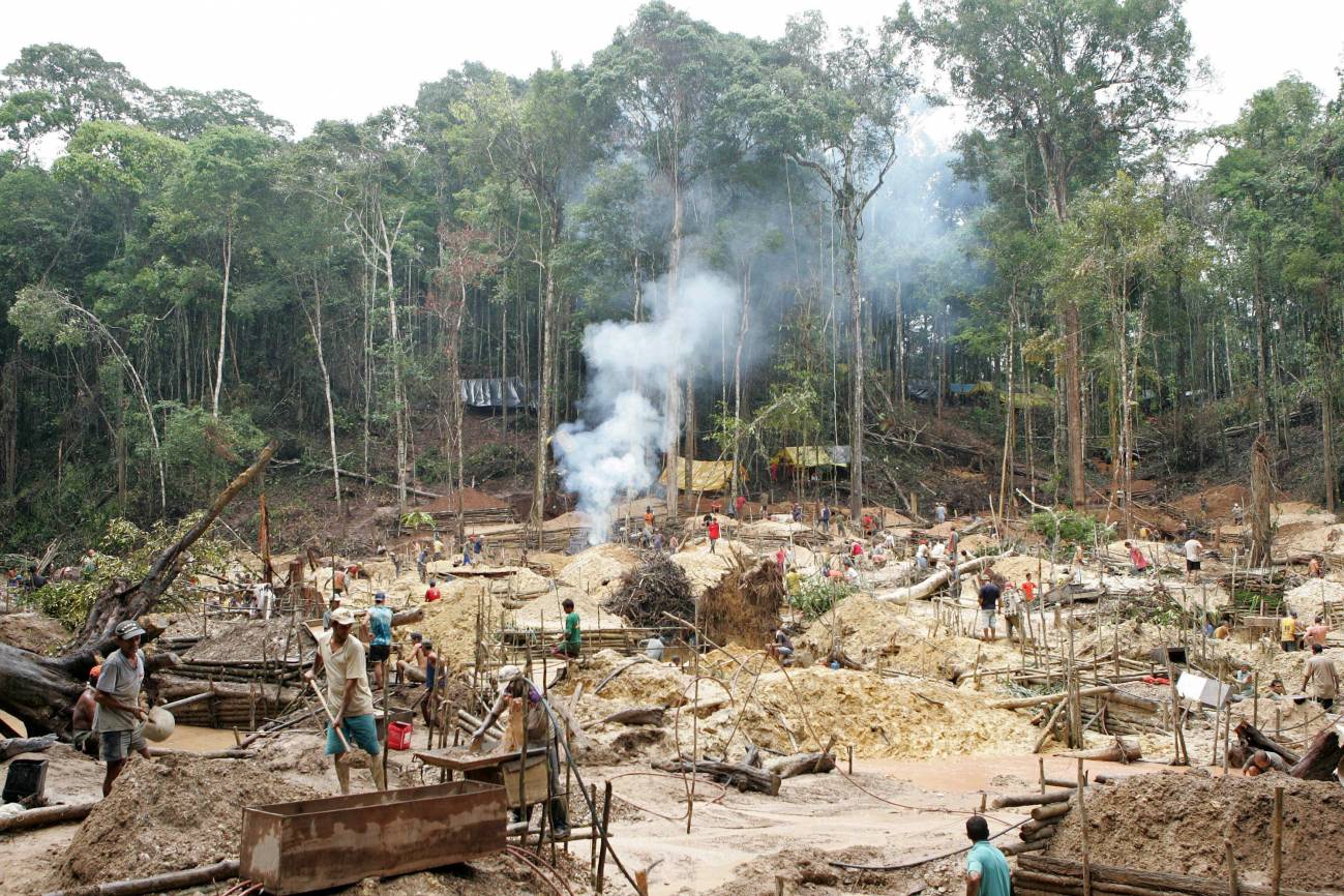 Cómo reducir a la mitad las emisiones de la deforestación tropical 