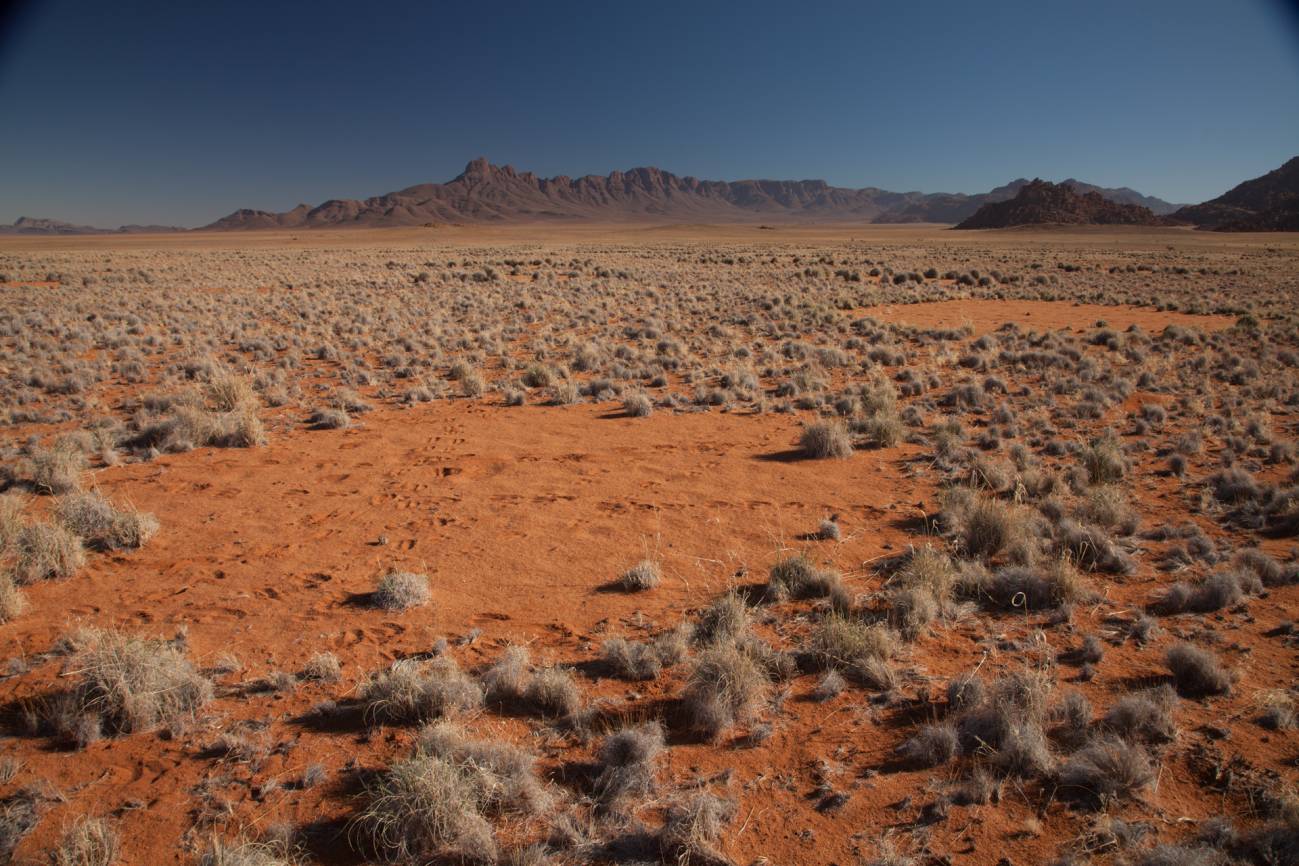 ¿Cómo se forman los ‘círculos de hadas’ del desierto de Namibia?