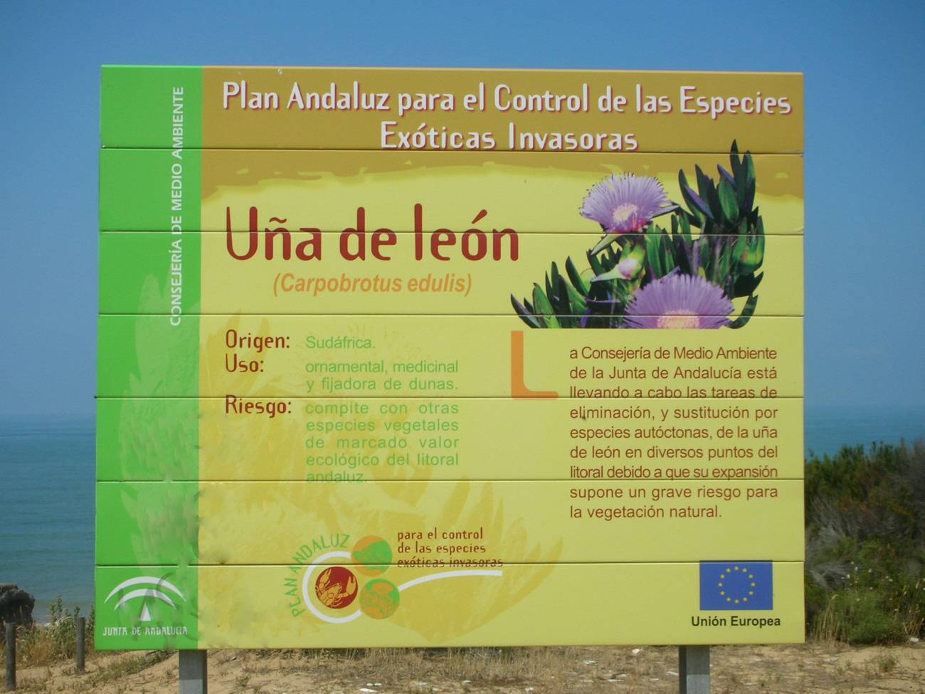 ¿Cómo se perciben los impactos y beneficios de las especies exóticas invasoras?