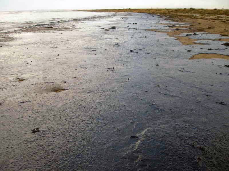 ¿Cómo se regenera de forma natural la costa tras un vertido?