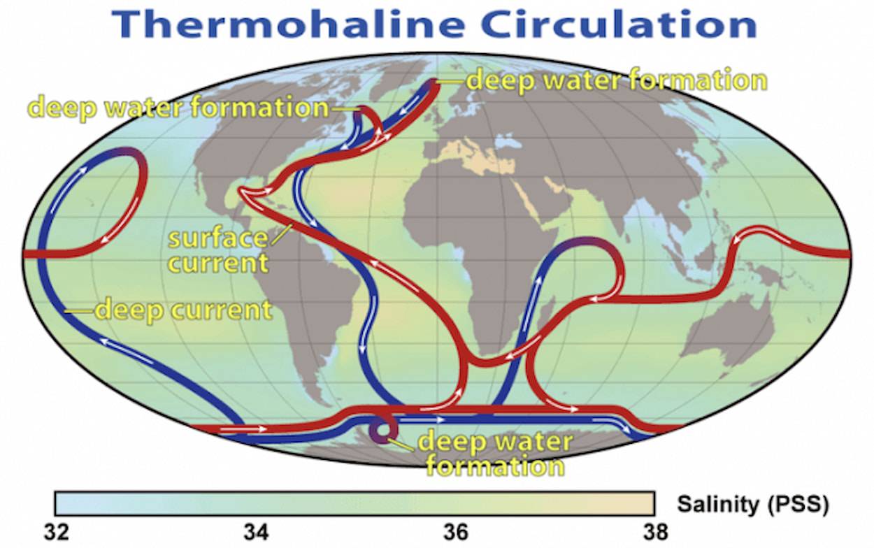 Esquema de las corrientes de circulación termohalina oceánica. Los surcos azules representan corrientes profundas, mientras que los surcos rojos representan corrientes superficiales. / NASA | Robert Simmon