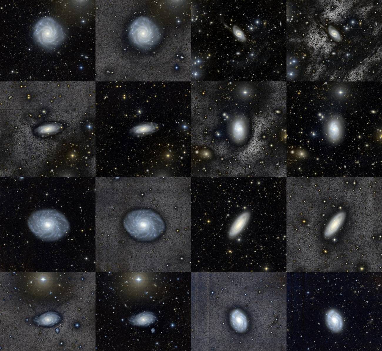 galaxias
