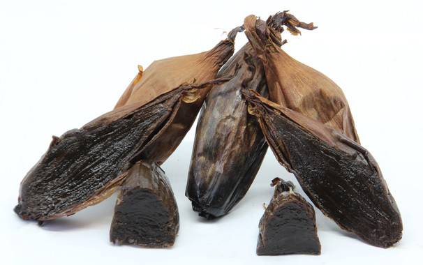 Confirman el valor nutricional de la cebolla negra