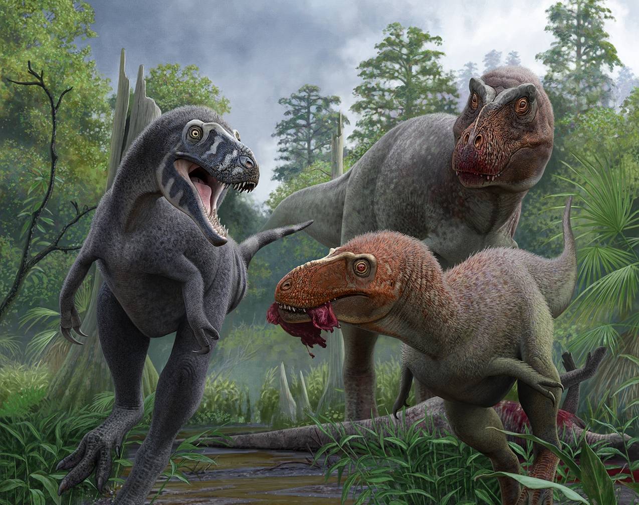 Confirman que un cráneo que se pensaba de un ‘T.rex’ adolescente es una especie distinta