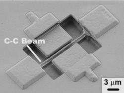 Nanobalanza creada por científicos de la UAB y el CSIC