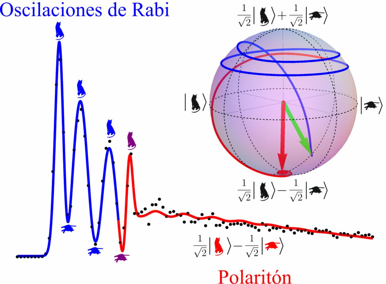 Controlan oscilaciones ultrarrápidas entre luz y materia