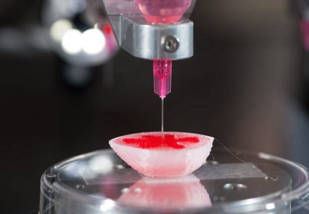 Creación de órganos artificiales: ¿dónde están los límites?