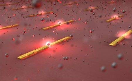 Crean una nanolinterna para ver microorganismos