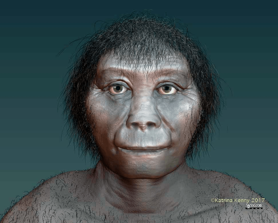 ¿Cuál es el verdadero origen de los ‘hobbits’ indonesios?