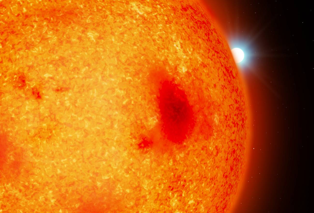 Cuatro enanas blancas se escondían en el “patio trasero” de nuestro Sistema Solar