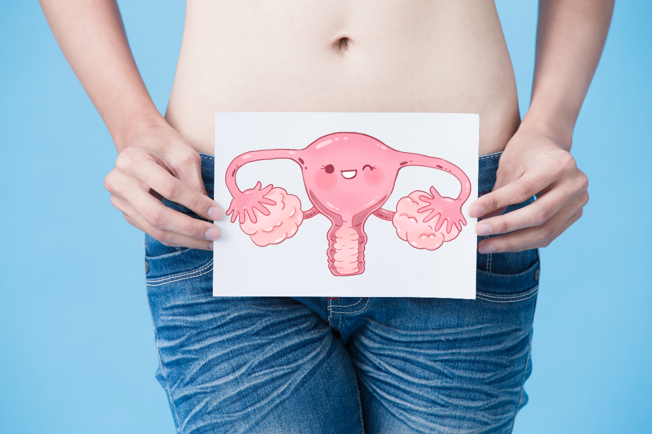 mujer con un cartel de su aparato reproductor