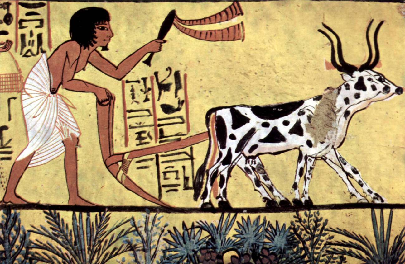Demuestran el origen de los primeros agricultores