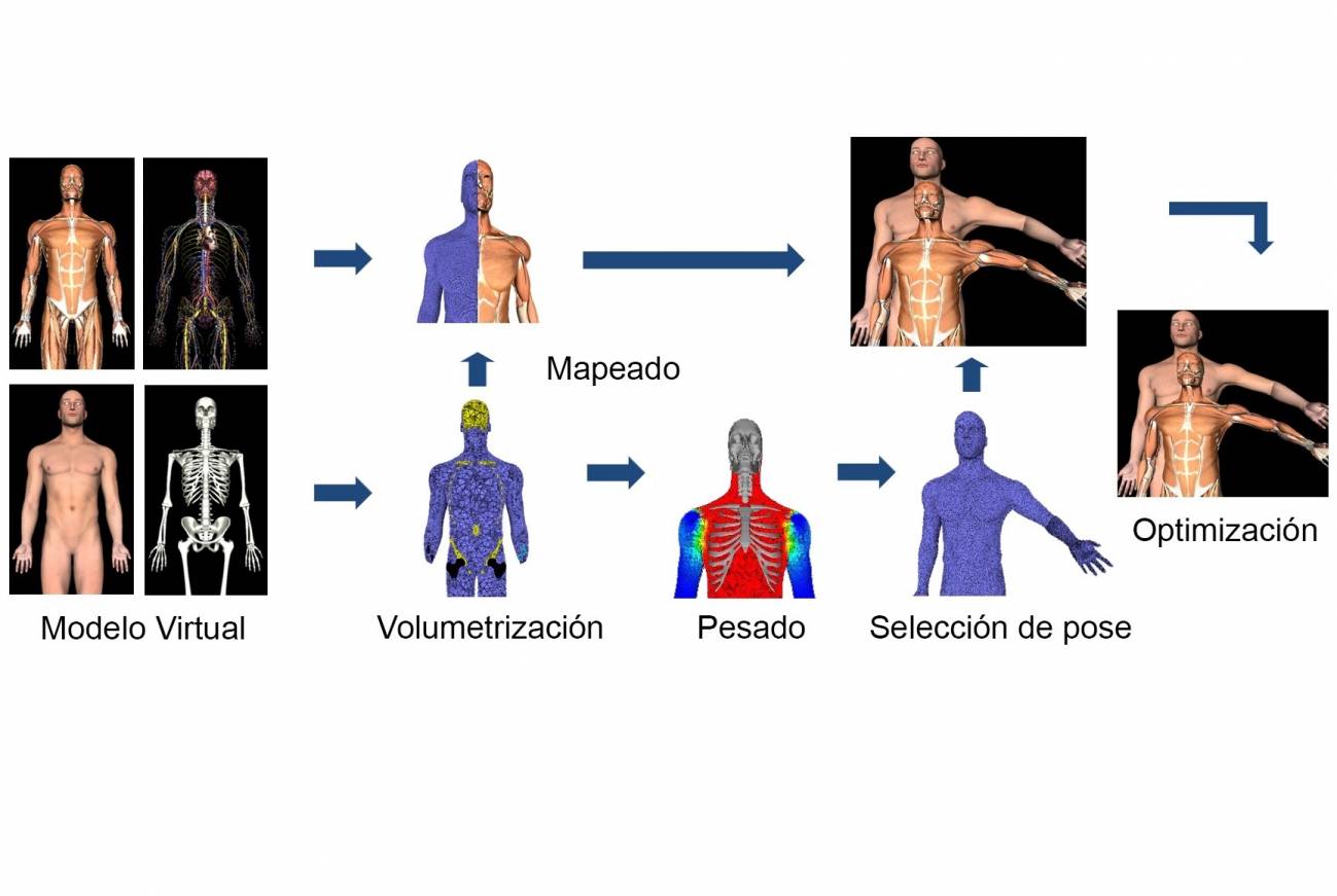 Desarrollan simuladores para entrenar a profesionales sanitarios