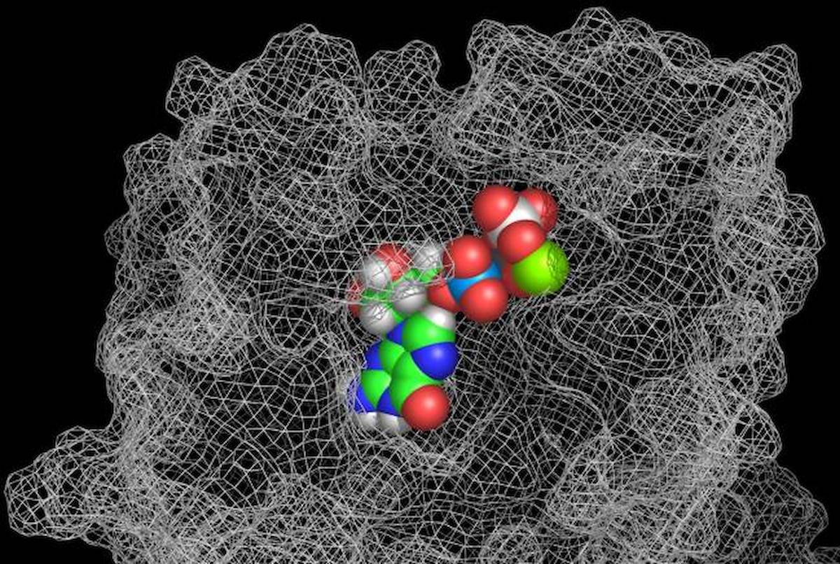 Modelo computacional de superficie de la proteína FtsZ y su interacción con una molécula de Mg-GTP