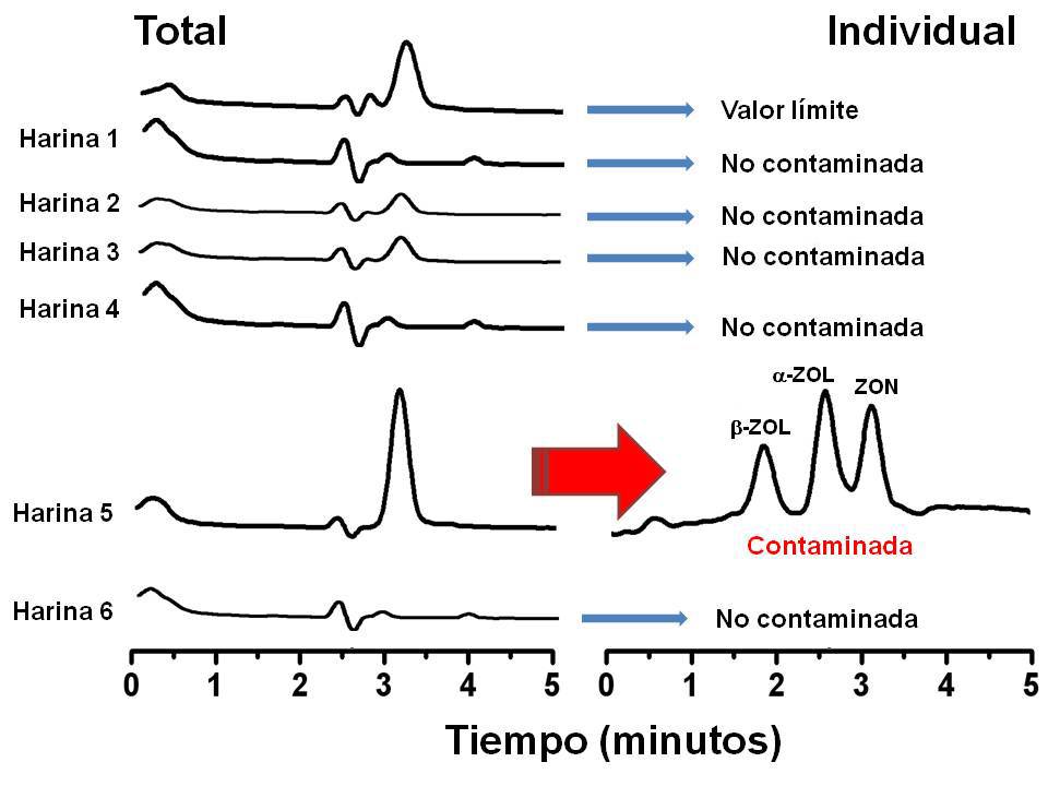 Desarrollan un nuevo método de control de contaminación por micotoxinas en harinas de maíz