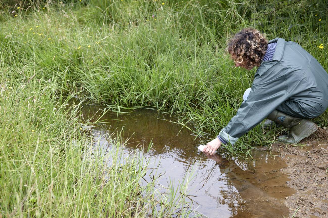 Desarrollan un sistema para reutilizar con garantías sanitarias lodos procedentes de aguas residuales