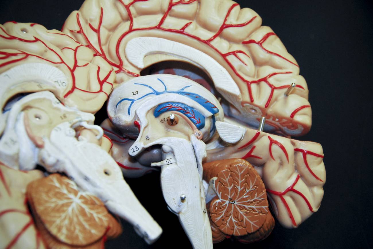 Descifran el código genómico de la forma más común de cáncer cerebral infantil