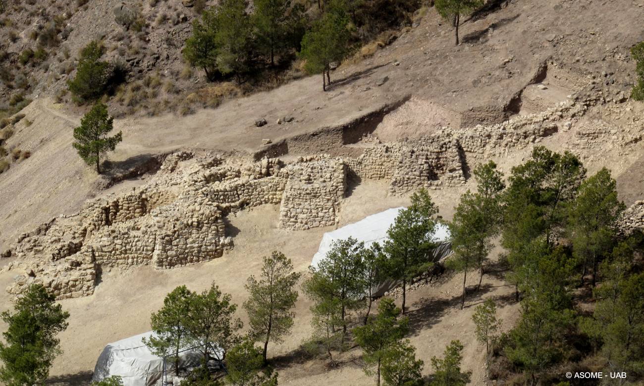 Vista frontal de la fortificación, con varios lienzos de muralla y cinco de las torres macizas descubiertas.