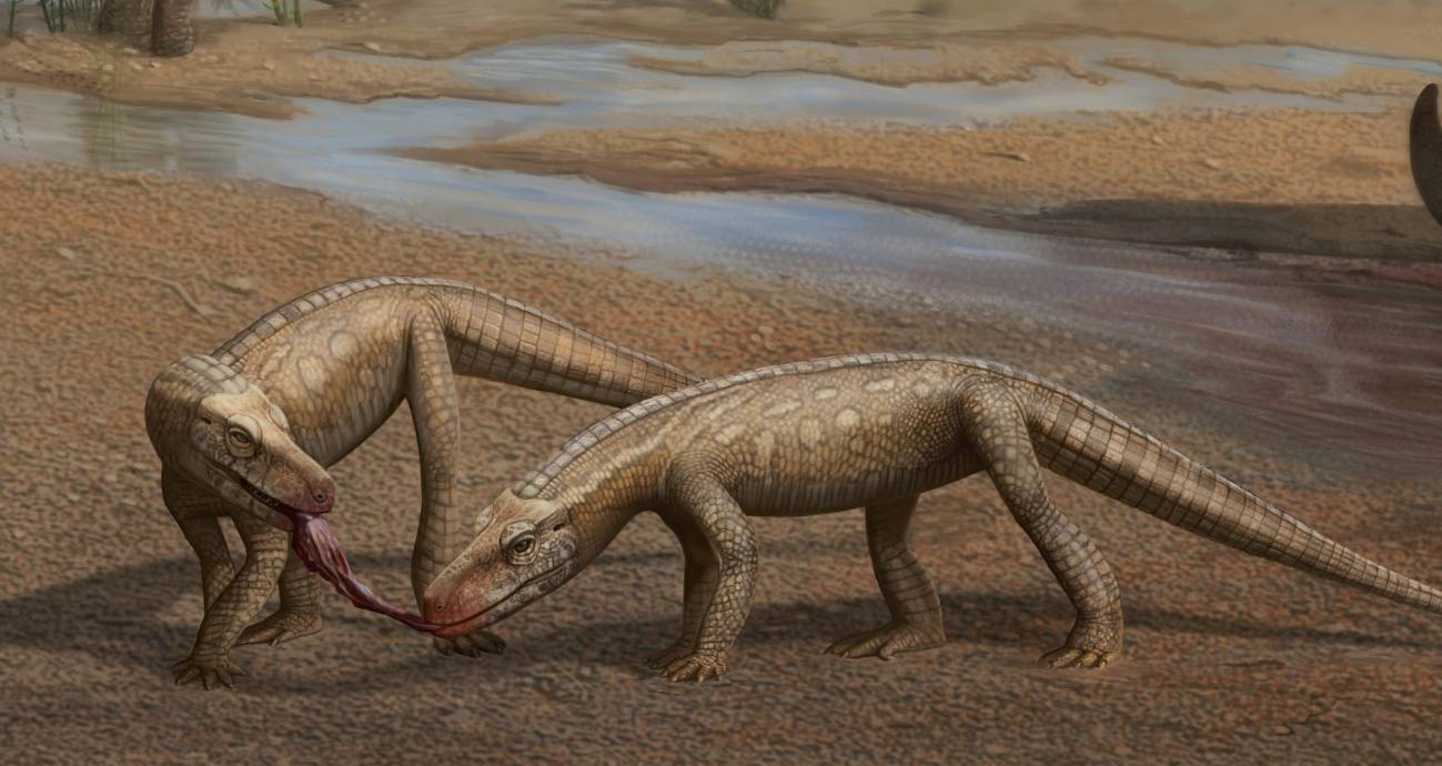 Reconstrucción artística del pequeño reptil depredador hallado en Brasil