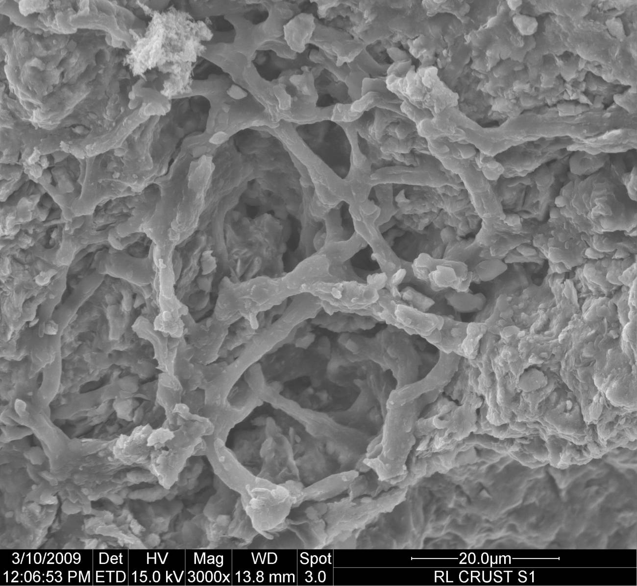 Descubren bacterias fósiles con más de 160 millones de años en la Cordillera Bético-Rifeña
