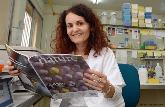 Descubren cómo funcionan nuevas proteínas fotorreceptoras 