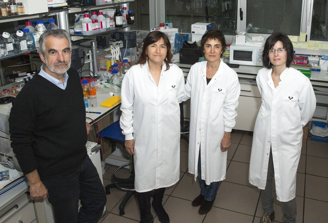 Equipo de investigadores de la Facultad de Ciencia y Tecnología y BCMaterials