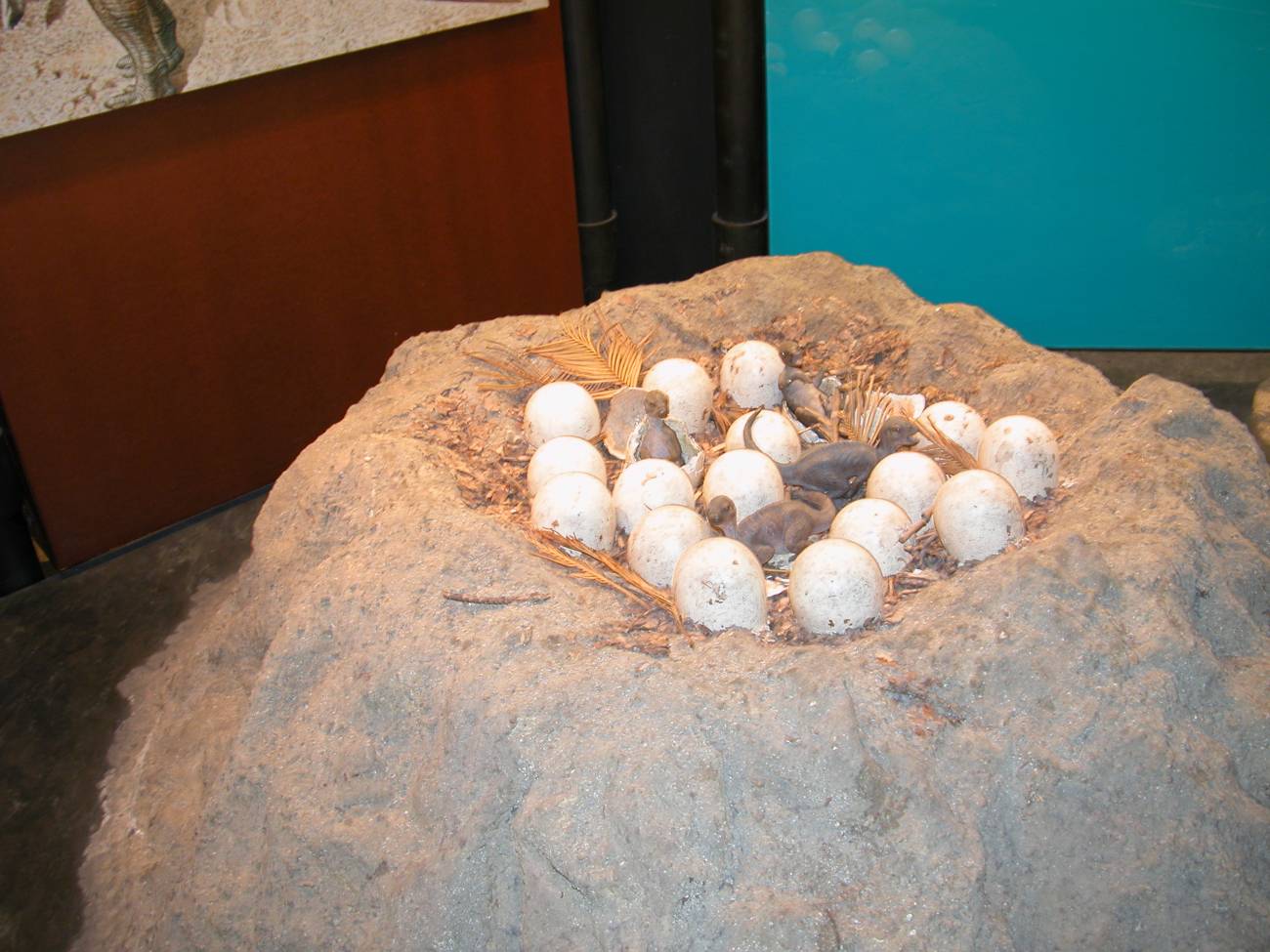 Huevos de los dinosaurios clearance