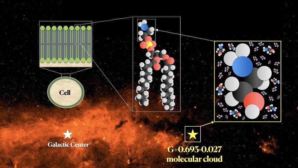 Descubren etanolamina en el espacio, una molécula clave en el origen de la  vida