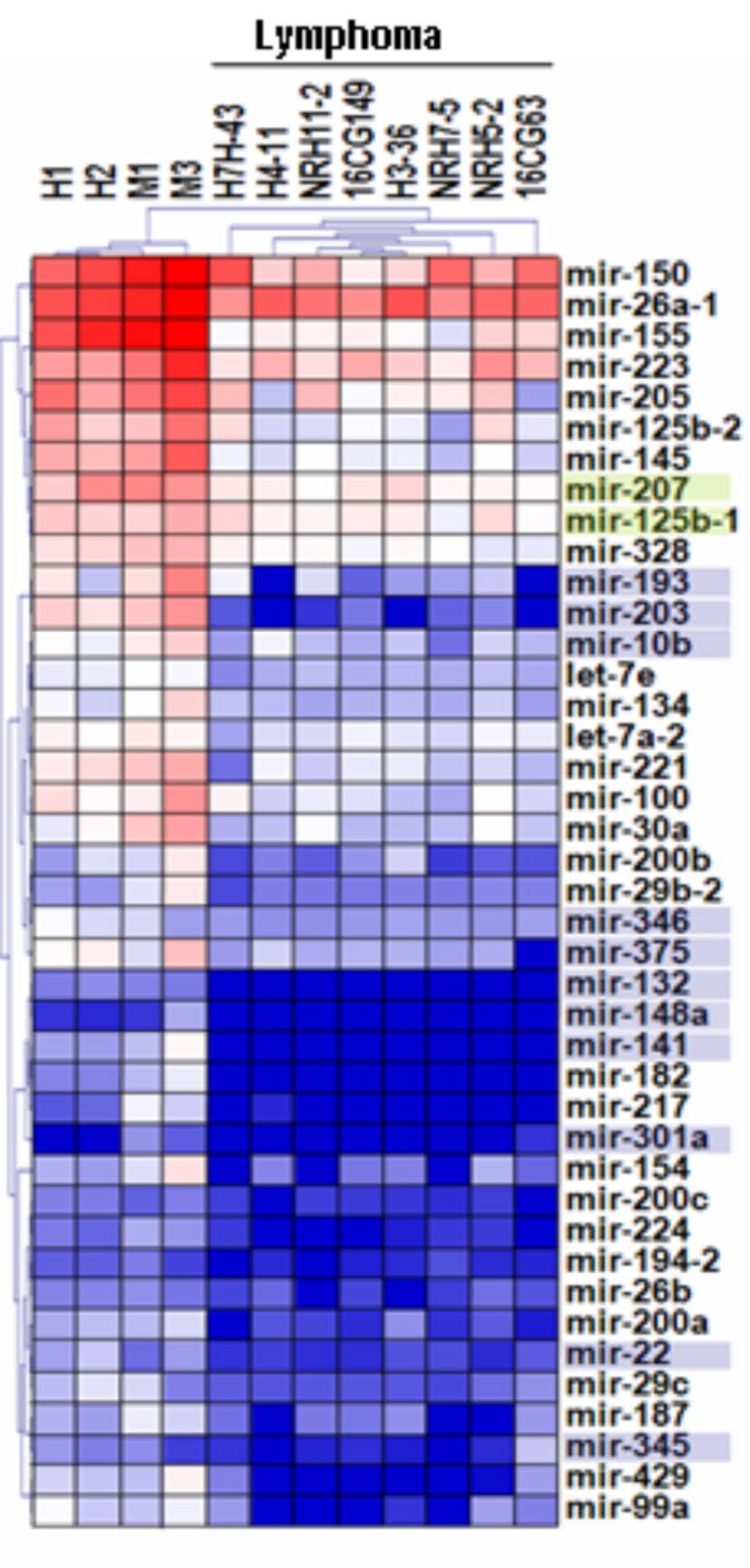 microRNAs