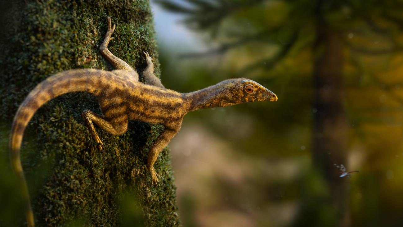 Descubren nuevas pistas sobre el enigmático origen de los pterosaurios