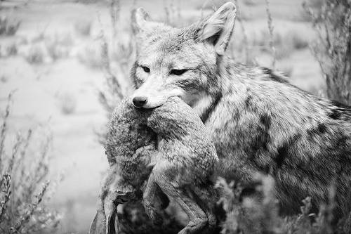 Descubren una fórmula para cubrir la falta de datos del pasado de la Tierra y predecir los del futuro