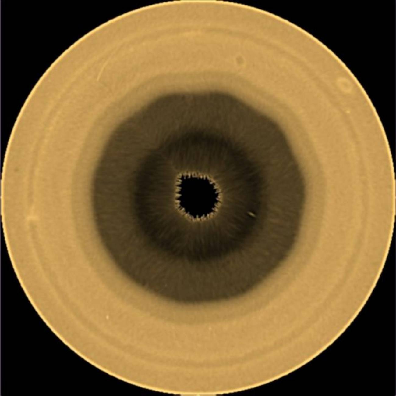 Descubren una onda decagonal alrededor del polo sur de Saturno