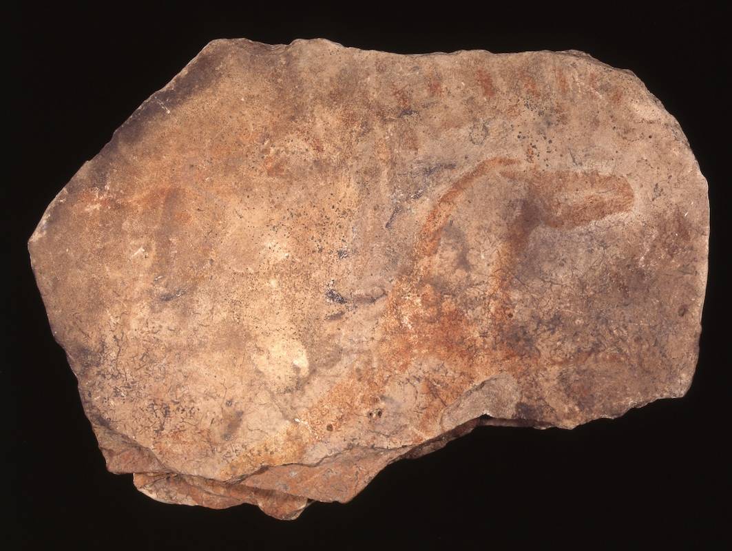 Desvelado el secreto del rojo y el amarillo en las pinturas prehistóricas de Parpalló