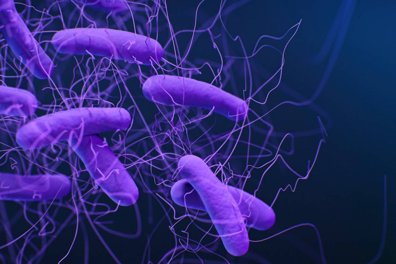Desvelan el mecanismo que permite a una de las bacterias hospitalarias más peligrosas causar infecciones