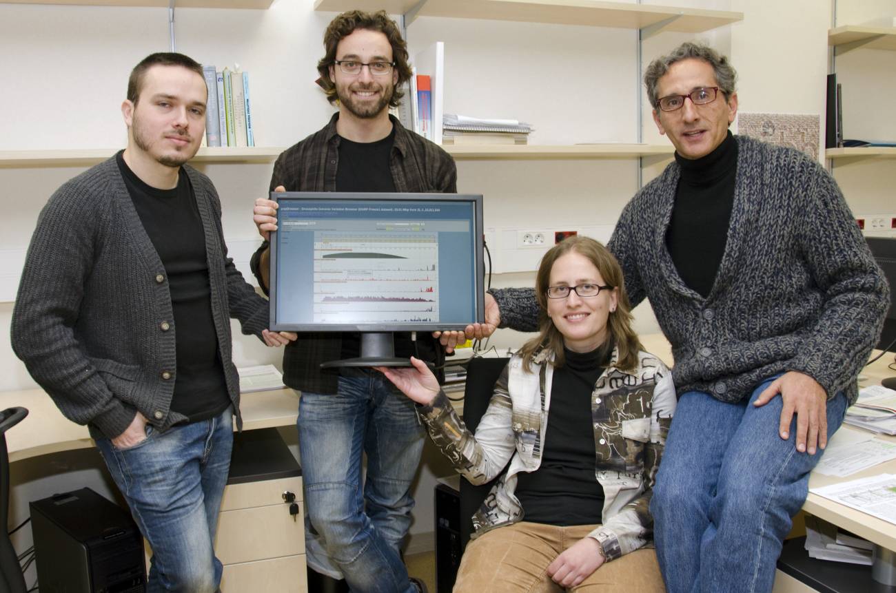 Grupo de Bioinformática de la Diversidad Genética de la UAB. De izda. a dcha. en la foto 1: David Castellà, Miquel Ràmia, Sònia Casillas y Antonio Barbadilla.