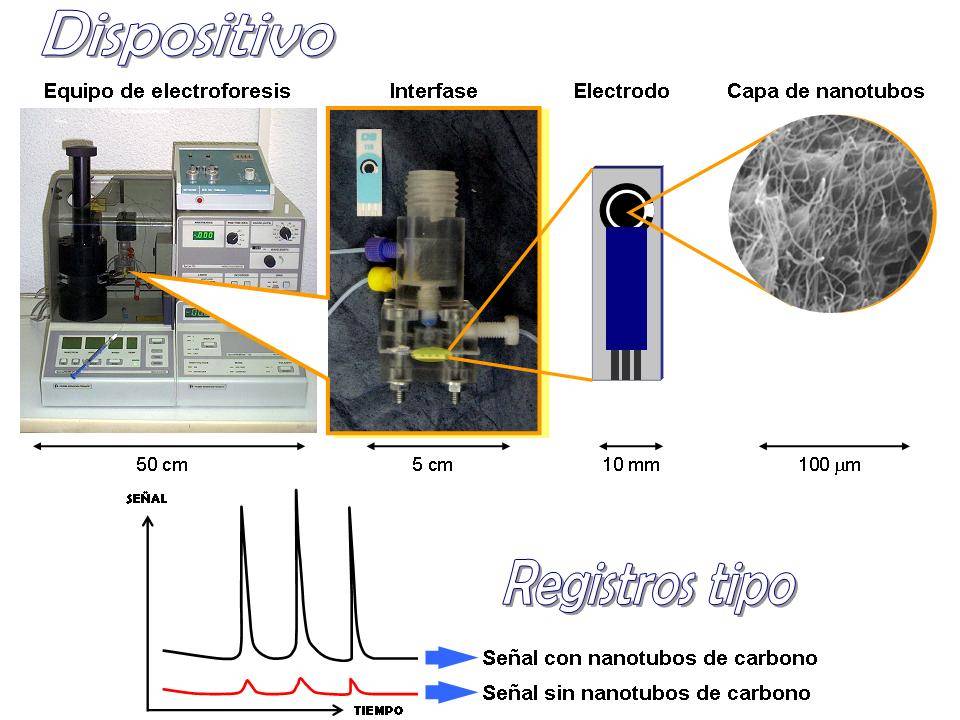 Detección electroquímica: una alternativa real para la mejora de la sensibilidad en electroforesis capilar