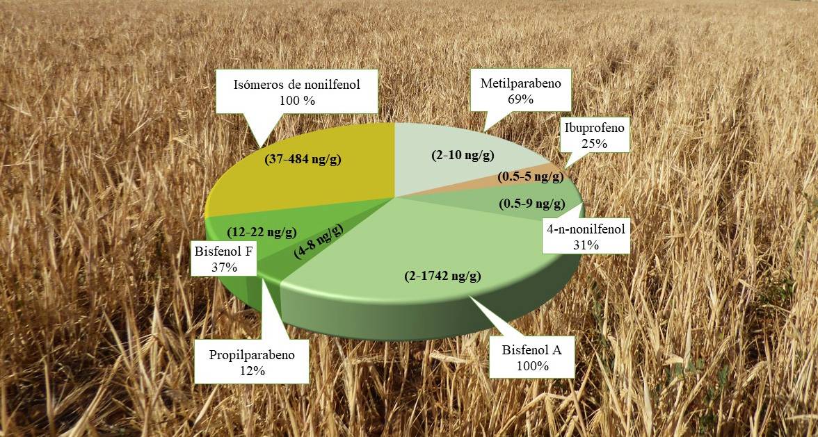 Detectadas trazas de contaminantes procedentes de plásticos, detergentes y medicamentos en los cereales