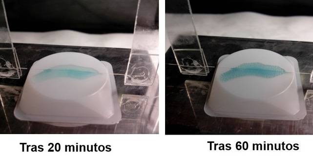 Diseñados biosensores basados en resonancias ópticas para aplicaciones médicas