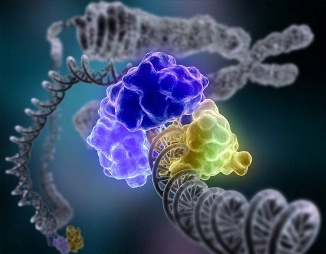 Los científicos han desarrollado algoritmos para usar en un ciclo de modelado para biología de sistemas. / Pennstatenews