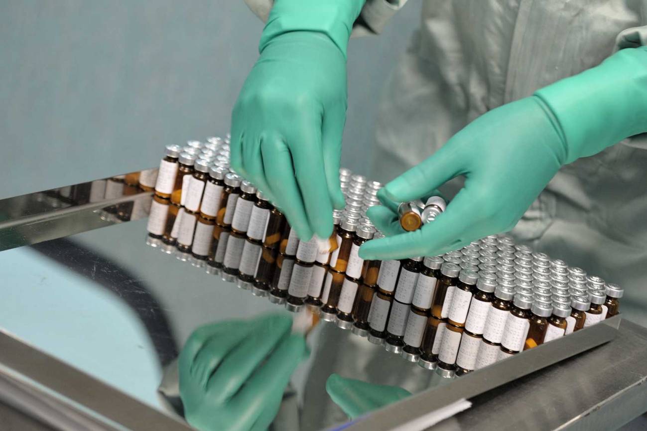 Disponible el primer lote de la vacuna de tuberculosis, diseñada por la Universidad de Zaragoza