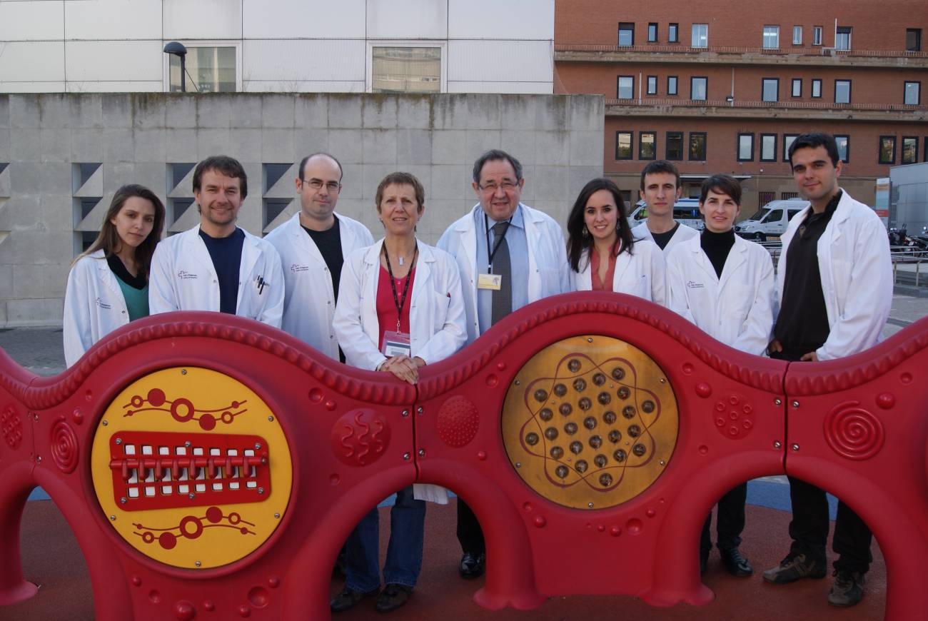 grupo de investigación VHIR
