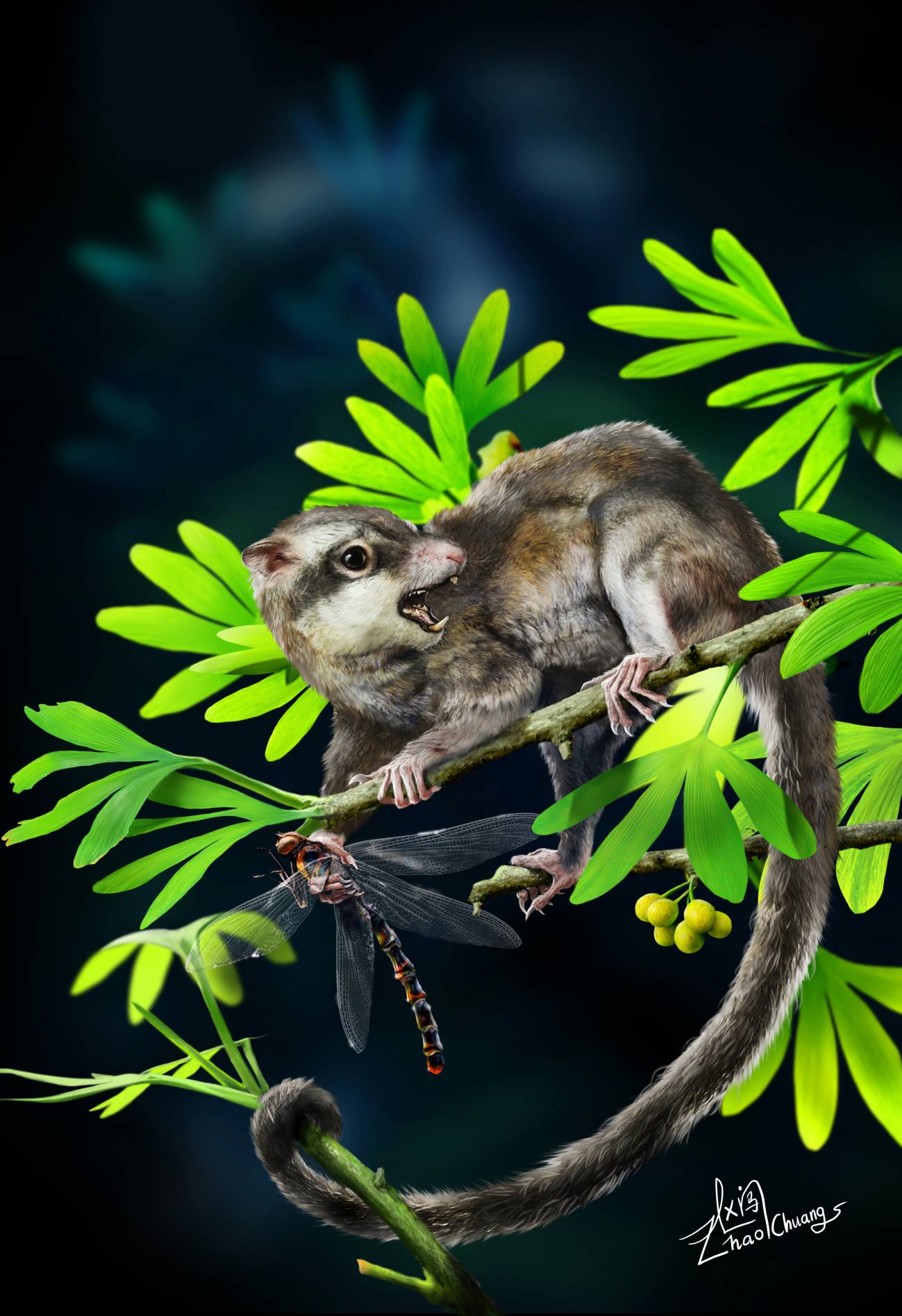 Dos ejemplares fósiles de una criatura del Jurásico dan nuevas pistas sobre el origen de los mamíferos
