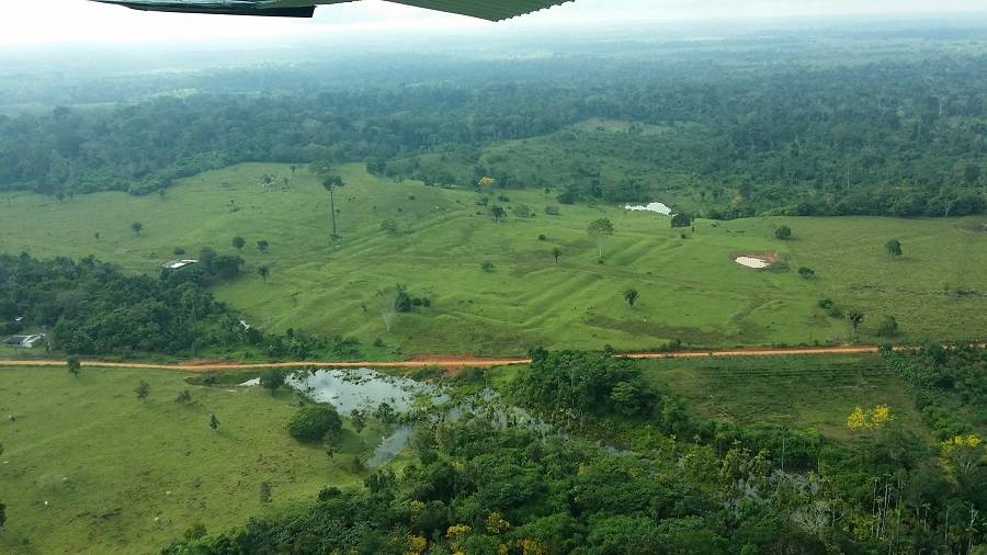 El cambio climático impactó en la Amazonia antes de la llegada de los europeos