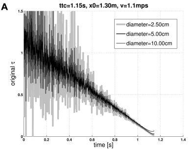 Dos tipos de neuronas tienen un único modelo antecesor