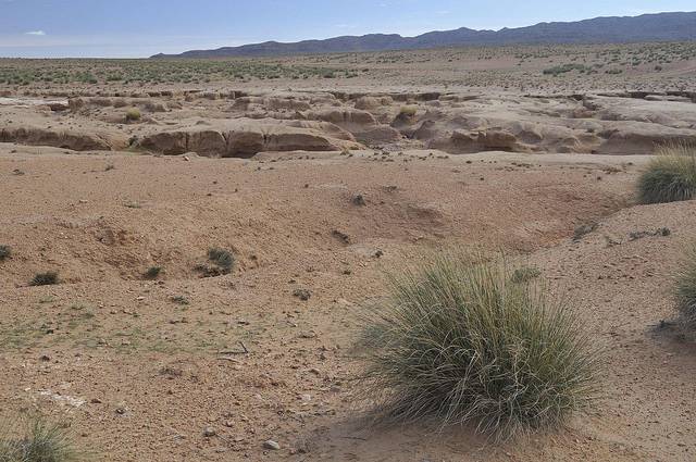 El 21% de los territorios del Magreb se ha desertificado