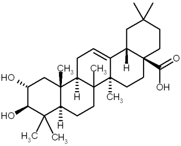 El ácido maslínico extraído del orujo del olivo, defensa natural contra el cáncer de colon